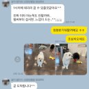 독 블레스 유 이미지