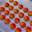 제빵자격증 이미지