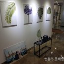 포시즌에이스투어