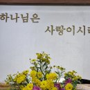 8월4일 겹무궁화 헬레니움 아스파라거스 이미지