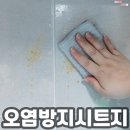 판다컴퍼니 이미지