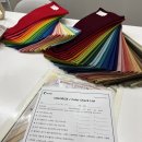 컬러라이즈 강남점에서 드디어 퍼스널컬러 진단 내돈내산 결과는?!