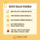동물병원 누리에뜰 이미지