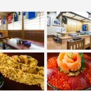 카티스트 이미지