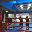 YS복싱클럽 이미지