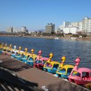 01-26 동구 이미지