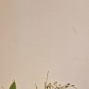 두진농장 이미지