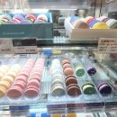 마리웨일237범계로데오점 이미지