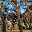 서상중고등학교 이미지