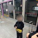 대곡농장 | 아이랑 둘이 제주도 여행 1일차 / GTX타고 운정중앙역에서 김포공항 가기! + 더포그레이스리조트 + 새벽...