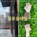 플로움네일 | 백석동 네일 케어 잘하는 플로움네일 후기