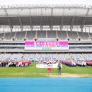 서구-35 우리일보