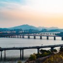 세품글로벌 이미지