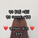 영앤헤어스튜디오 이미지