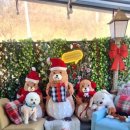 활활숯불 이미지