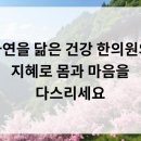 자연닮은한의원 이미지