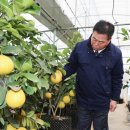 무안-1호 이미지