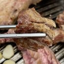 한라산도새기 이미지