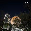 Apr 2025, 티니의봄