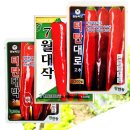 중부농자재 | 중부 남부지방 고추 씨앗 심는 파종시기