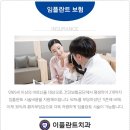 이플란트치과 이미지