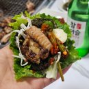 양천 | 신정동맛집 산꼼장어로 술안주 양천꼼장어후기