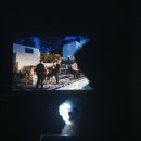 도그소사이어티 이미지