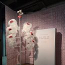 국가유산 체험학습지도사 이미지