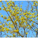 한탄강 유원지3 이미지