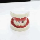 예일치과의원 이미지