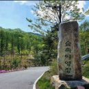 국립화천숲속야영장 이미지