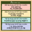 성인 하브루타 이미지