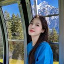 #🇨🇭Switzerland. Day4 융프라우/피르스트/트로티바이크/융프라우vip패스/하더클룸