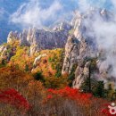 주전골산채마을 | 🍂 2025년 가을 단풍 여행지 BEST 10 - 올해는 여기가 핫해요!