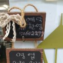 헤어숍도로시 이미지