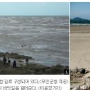 변산반도 부안 죽막마을....네이버 캐스트에서 펌~~~ 이미지