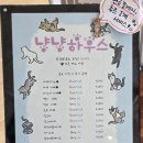 금냥이 | 냥냥하우스 하남미사 고양이카페 : 무릎냥이 골골송을 듣고싶다면 여기로 오세요~
