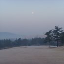 덕원골프 Daum카페