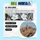 풍도_어촌체험마을 이미지