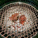 기쁜목장 이미지