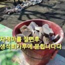 남해마실농장