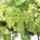 샤인소아청소년과의원 이미지