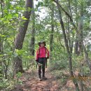 쇄재터널 이미지