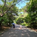 국보환경 | 예산 수덕사, 천년고찰에서 만난 국보 제49호 대웅전｜아이와 함께 걷기 좋은 충남 사찰 여행