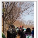 이랴이랴 워~워 이미지