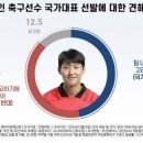 여론조사) 이강인 국대 선발 - 찬성 46.9%, 반대 40.7% 이미지