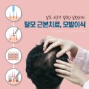 경대뉴보자르의원 이미지