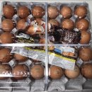 푸른초원농원 이미지