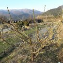 오뚜기농장 이미지