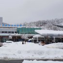 보소태양광 이미지